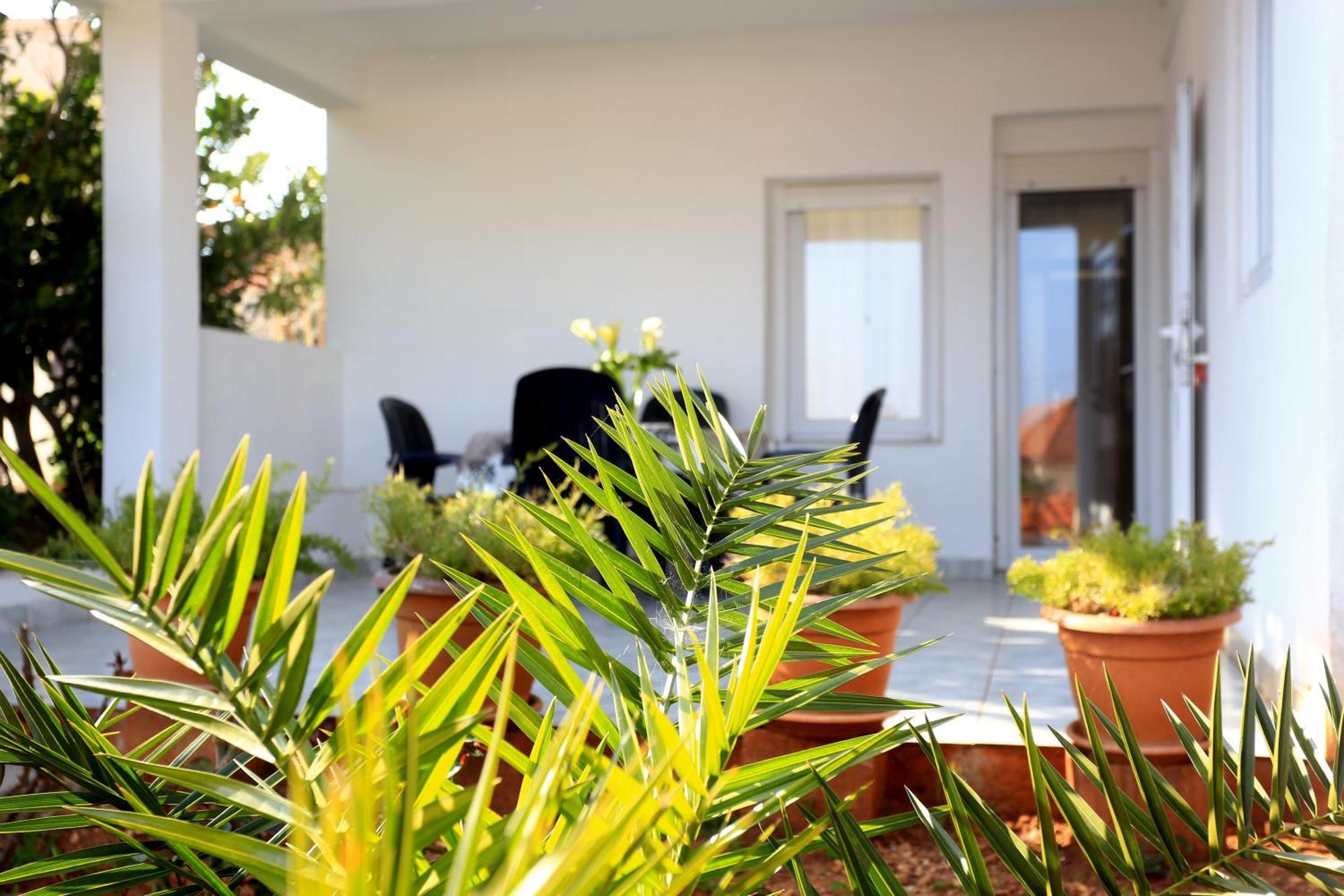 בוזאבה Apartments Olga מראה חיצוני תמונה